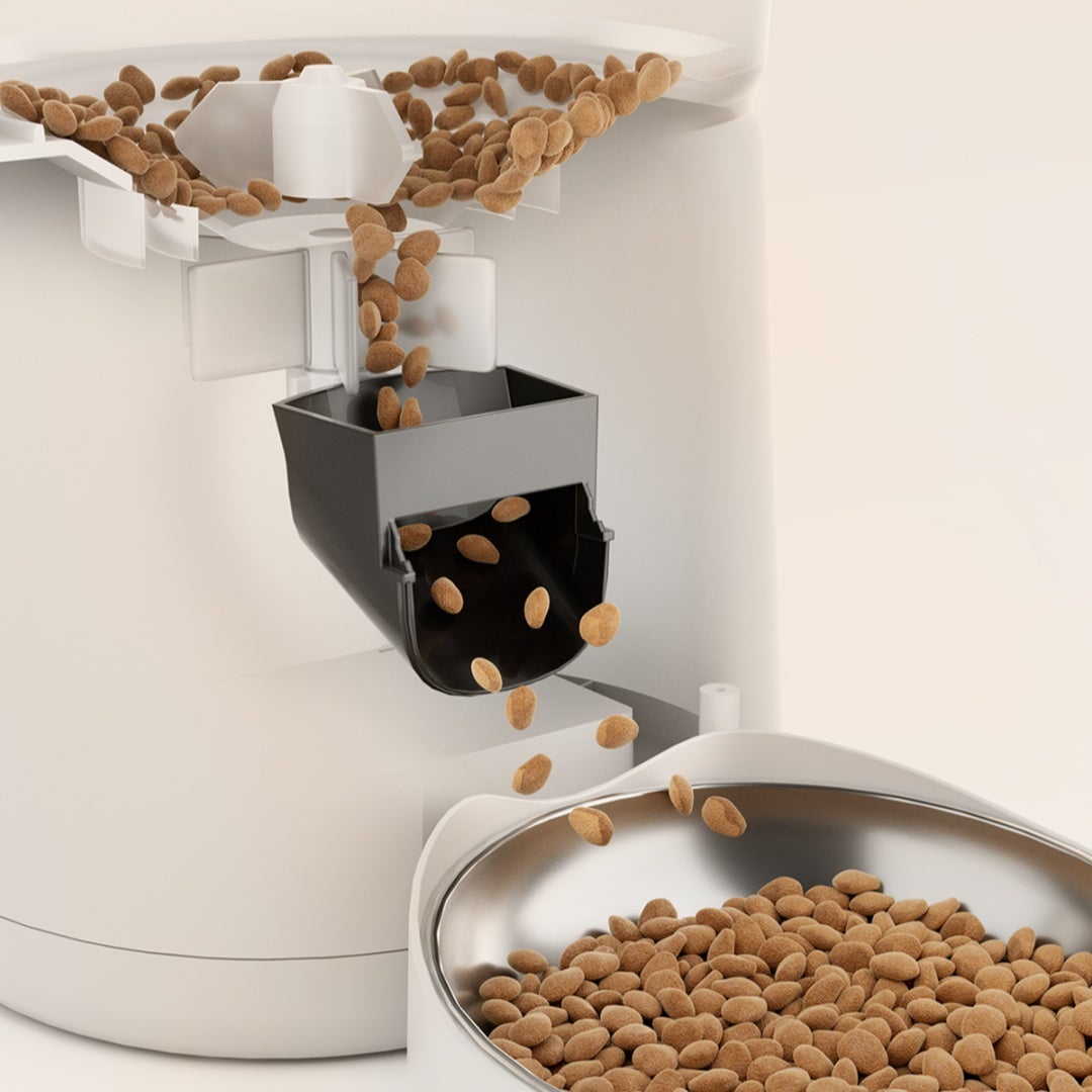 Distributeur de croquettes automatique 2.4G WiFi 4L Mangeoire automatique pour chat Connected App Distributeur de nourriture pour animaux Blanc - 5