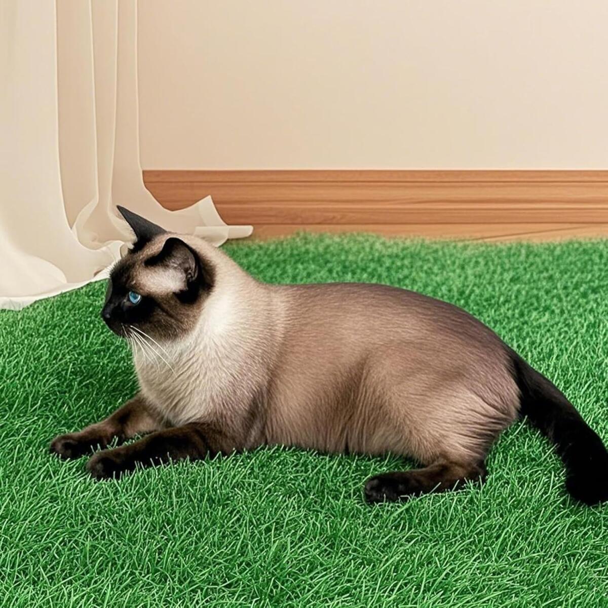Tapis Pelouse Synthetique Exterieur 15Cm Faux Gazon Exterieur Fausse Pelouse Ideale Pour Decor DIY Micro Paysage Et Maison - 5