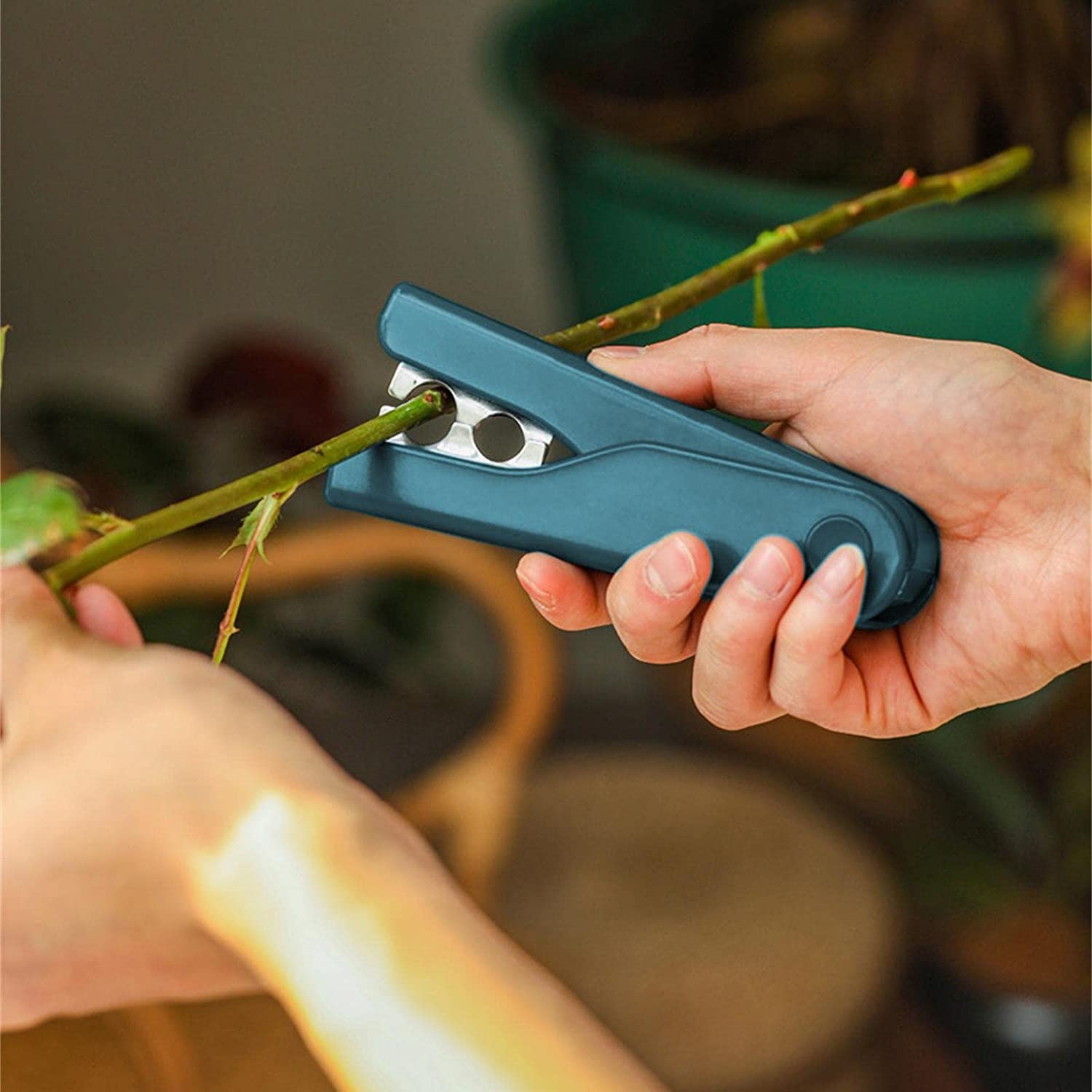 Outil De Retrait De Feuilles D'épines De Rose Pour Une