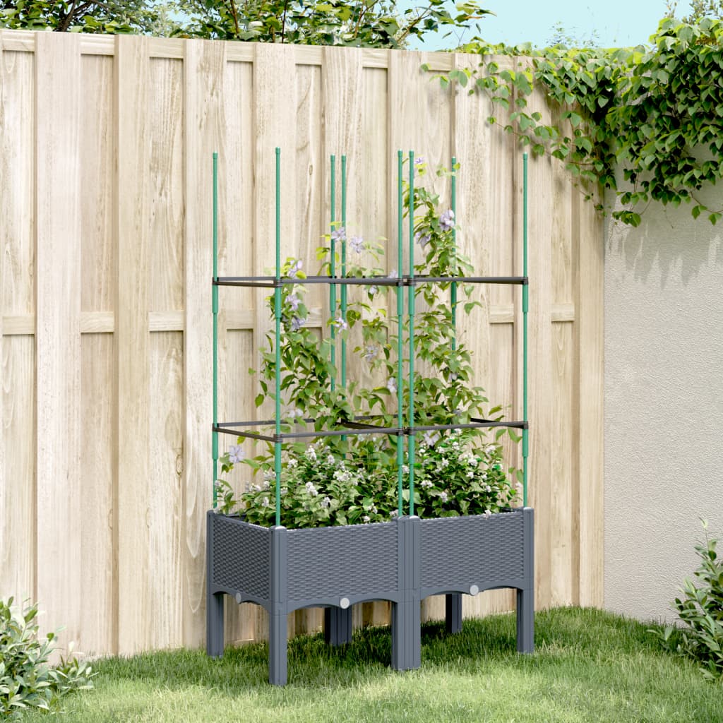 Rectangulaire