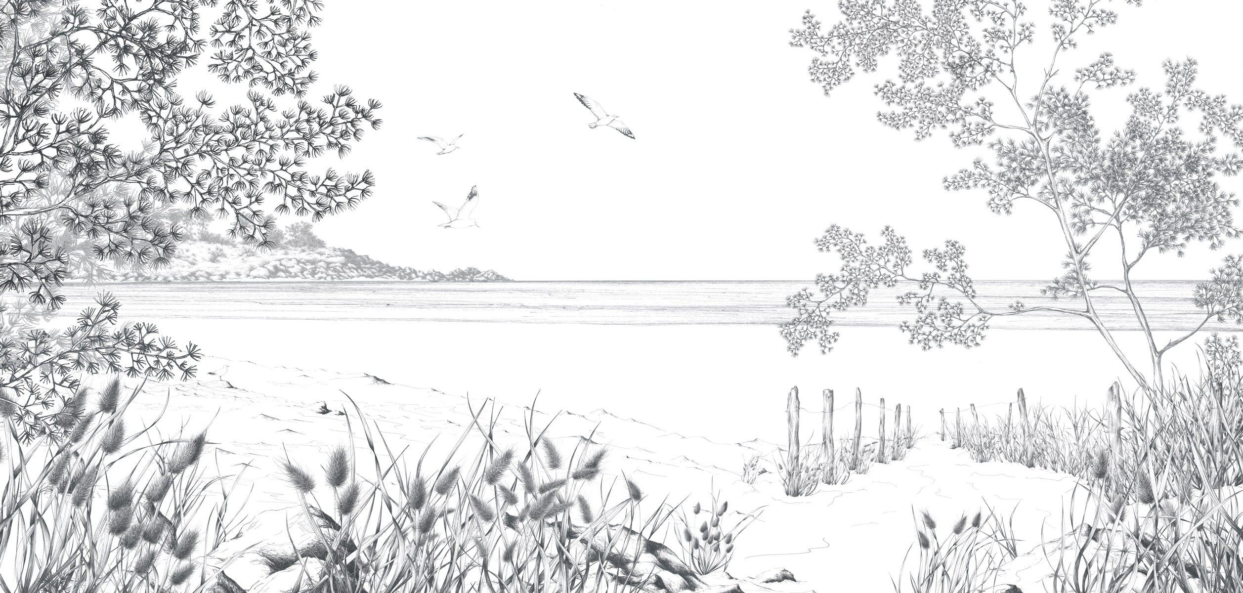 Papier peint panoramique Côtes Sauvages, Noir et blanc 150 x 250cm - 2