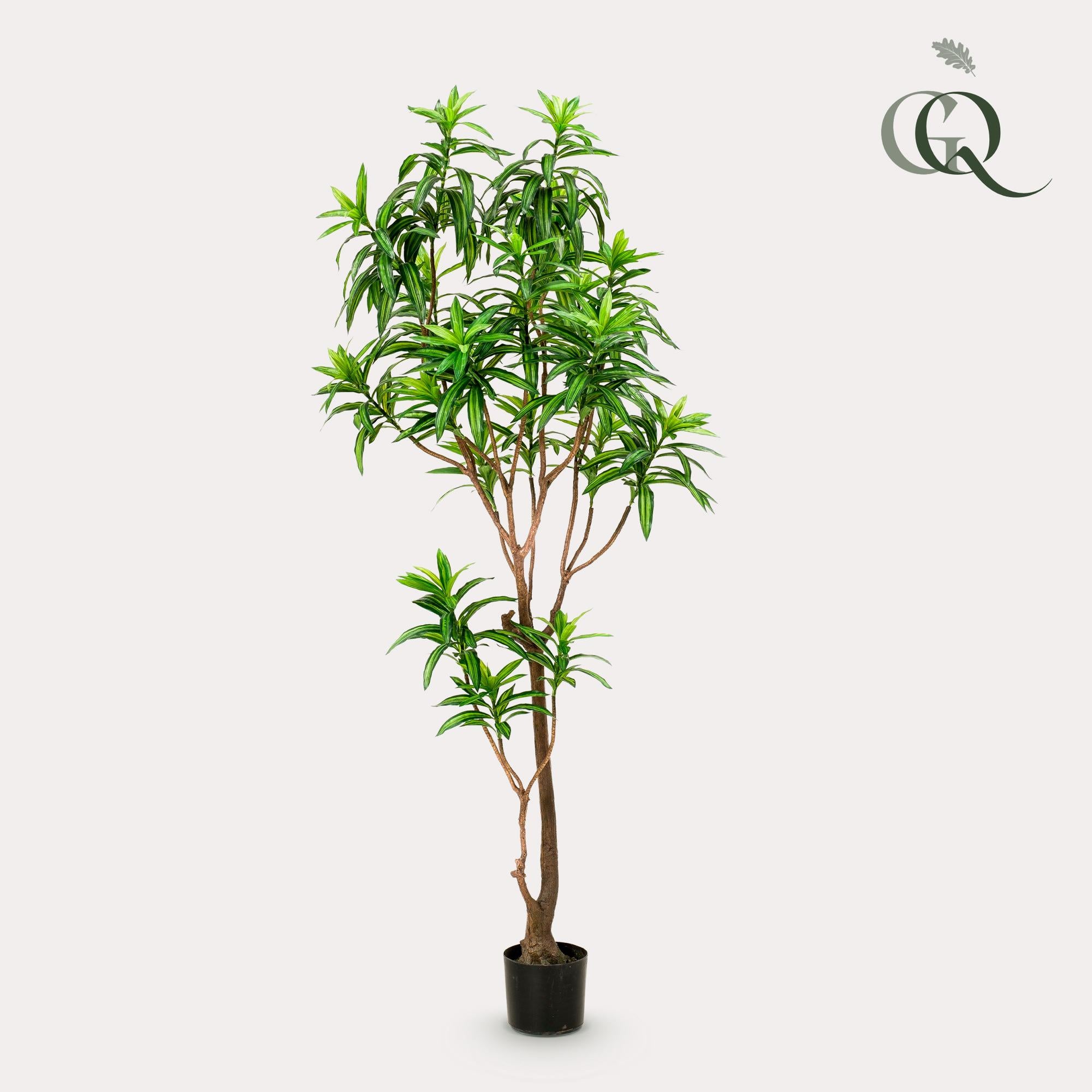 Sztuczny Dracaena 190 cm – Drakenboom dekoracyjny zielony do wnętrz