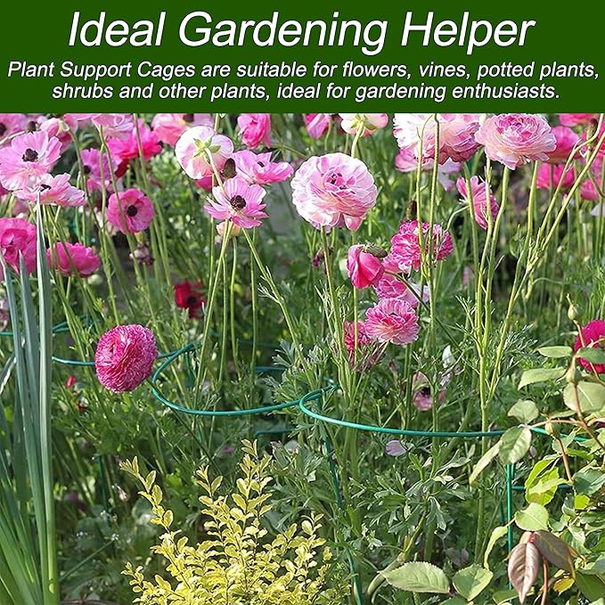 Lot de 10 supports de plantes semi-circulaires en métal - 40 x 25 cm - Support pour plantes en pot, fleurs, légumes - 4