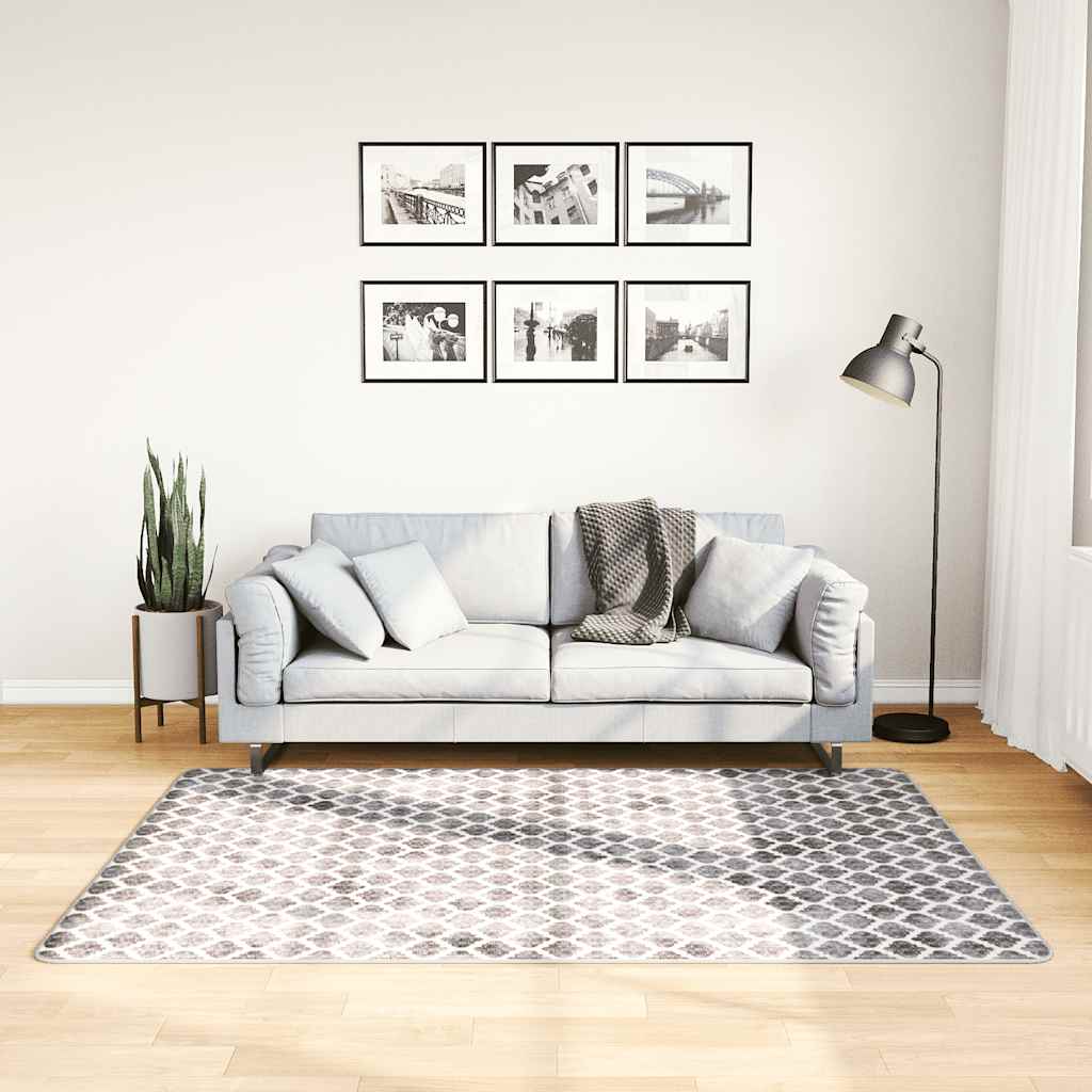 Tapis De Salon Shaggy Lavable, 200x300 Cm Carpet Moderne Antidérapant Intérieur Longs Moelleux Tapis, Longues Soft Tapis Grand Tapis Pour Salon Chambre Couloir (Gris, 200x300 Cm