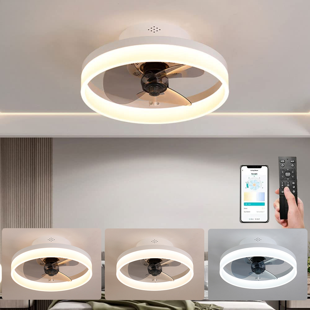 Ventilatore A Soffitto Con Luci LED 10 Pollici, Telecomando, 3 Colori E 3 Velocità, Dimmerabile, Regolabile 3000K-6500K, E27