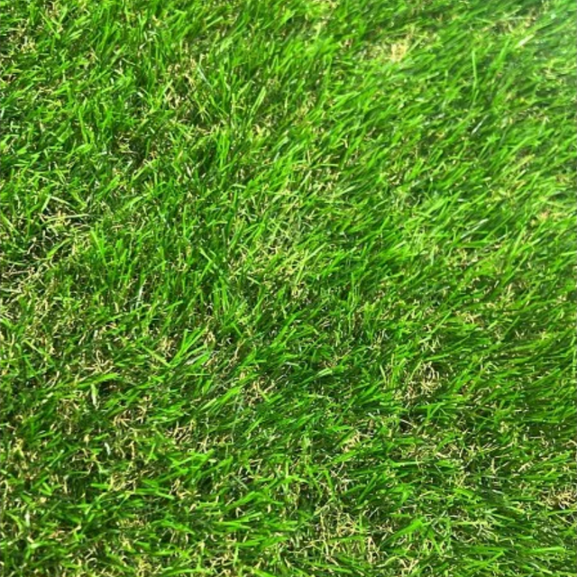 Prato sintetico tappeto erboso altezza fili 45 mm sempre verde vendita a metro *** misura : larghezza 1 mt