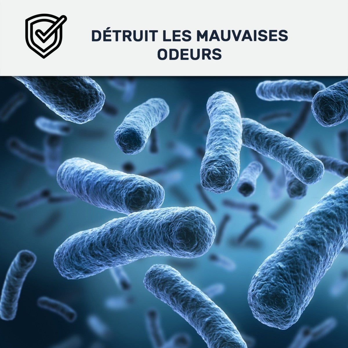 Pittura anticondensa e antimuffa per pareti umide ARCASCREEN - 1212 - 10 L Nero intenso RAL 9005 - ARCANE INDUSTRIES - 7