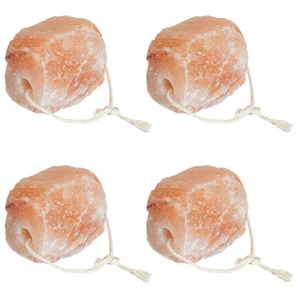 Sól do Lizań Różowy Sól kamienna vidaXL