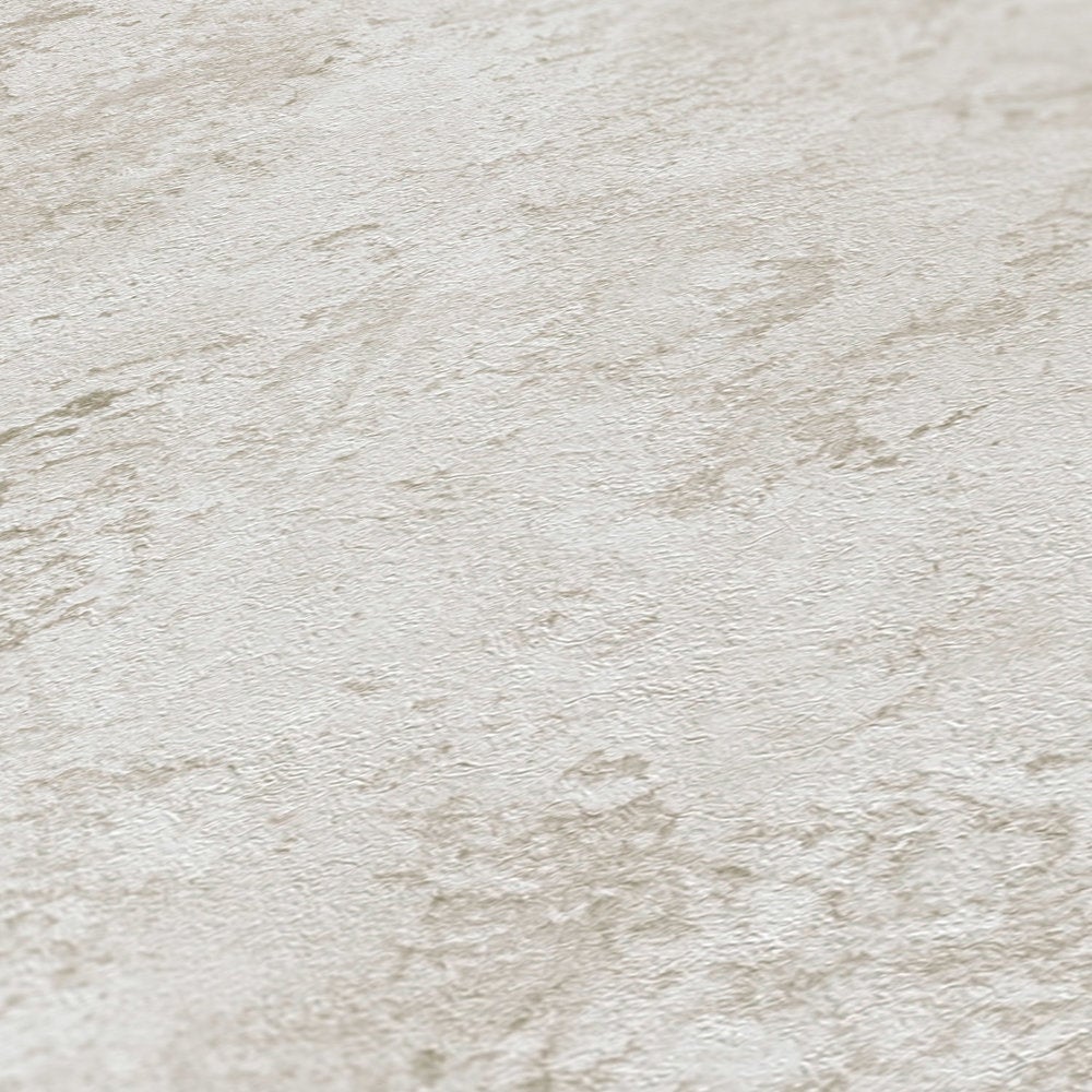 Gris / plata