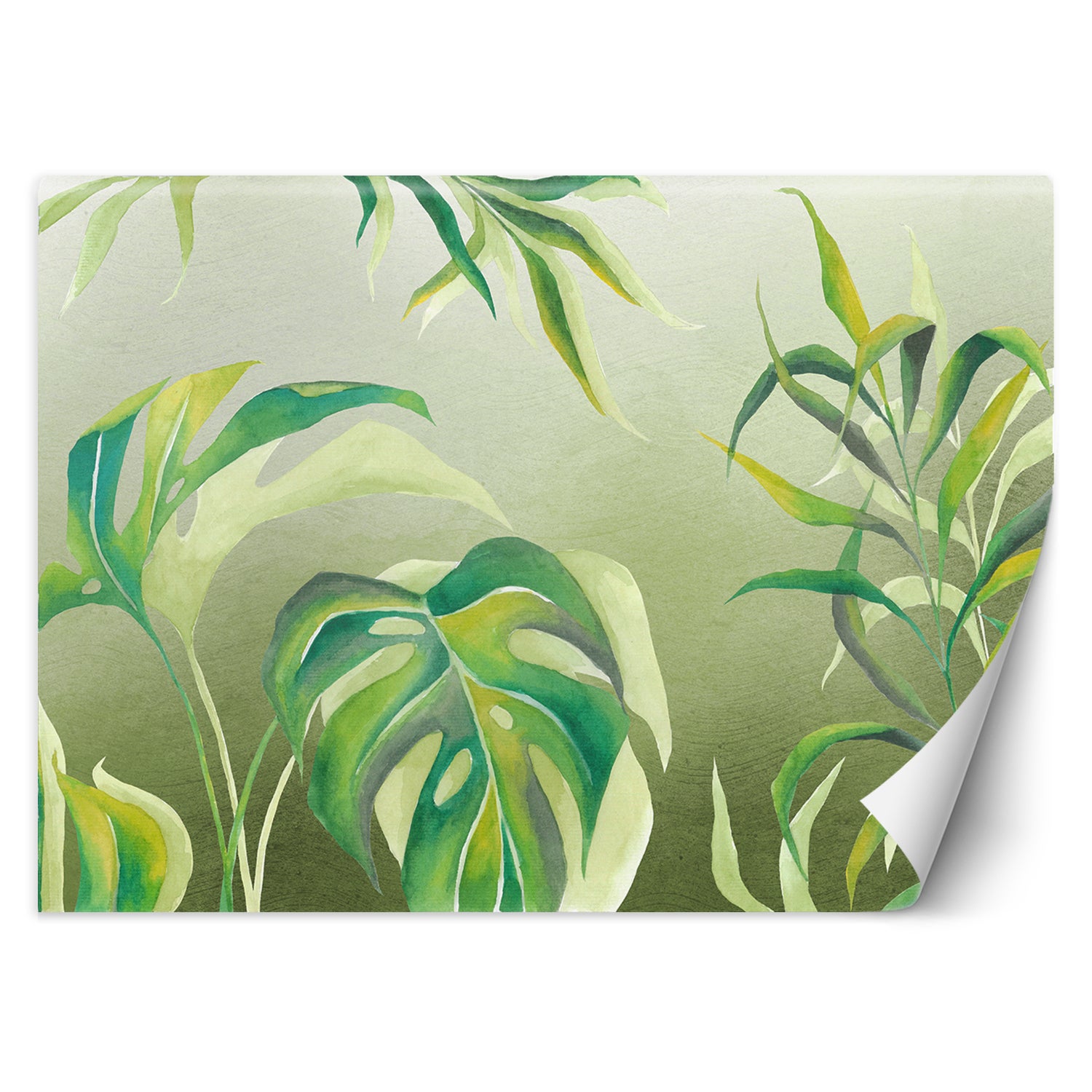 Fototapeta, Liście Monstera 450x315