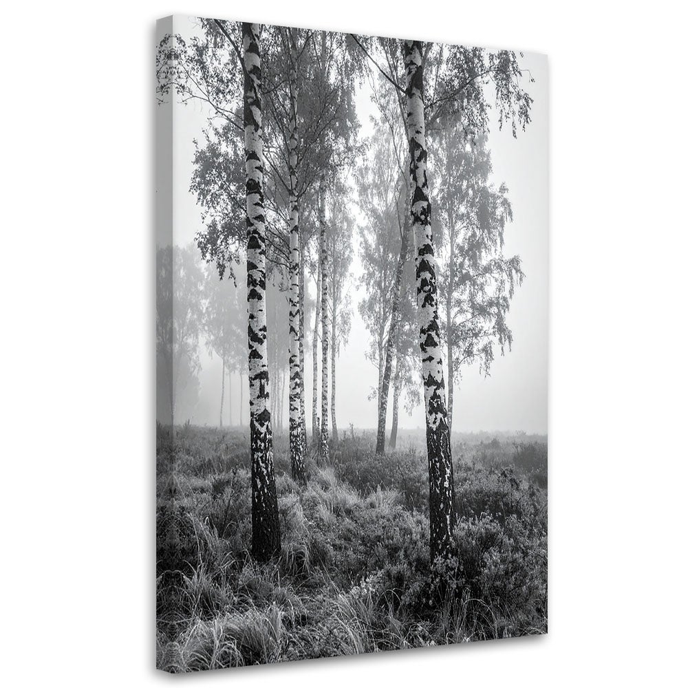 Obraz do salonu sypialni kuchni biura, Las brzozowy mgła czarno biały krajobraz 80x120
