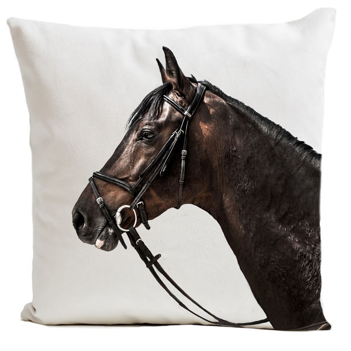Kit Point De Croix Coussin Cheval Vervaco - 16x16 Pouces Marron