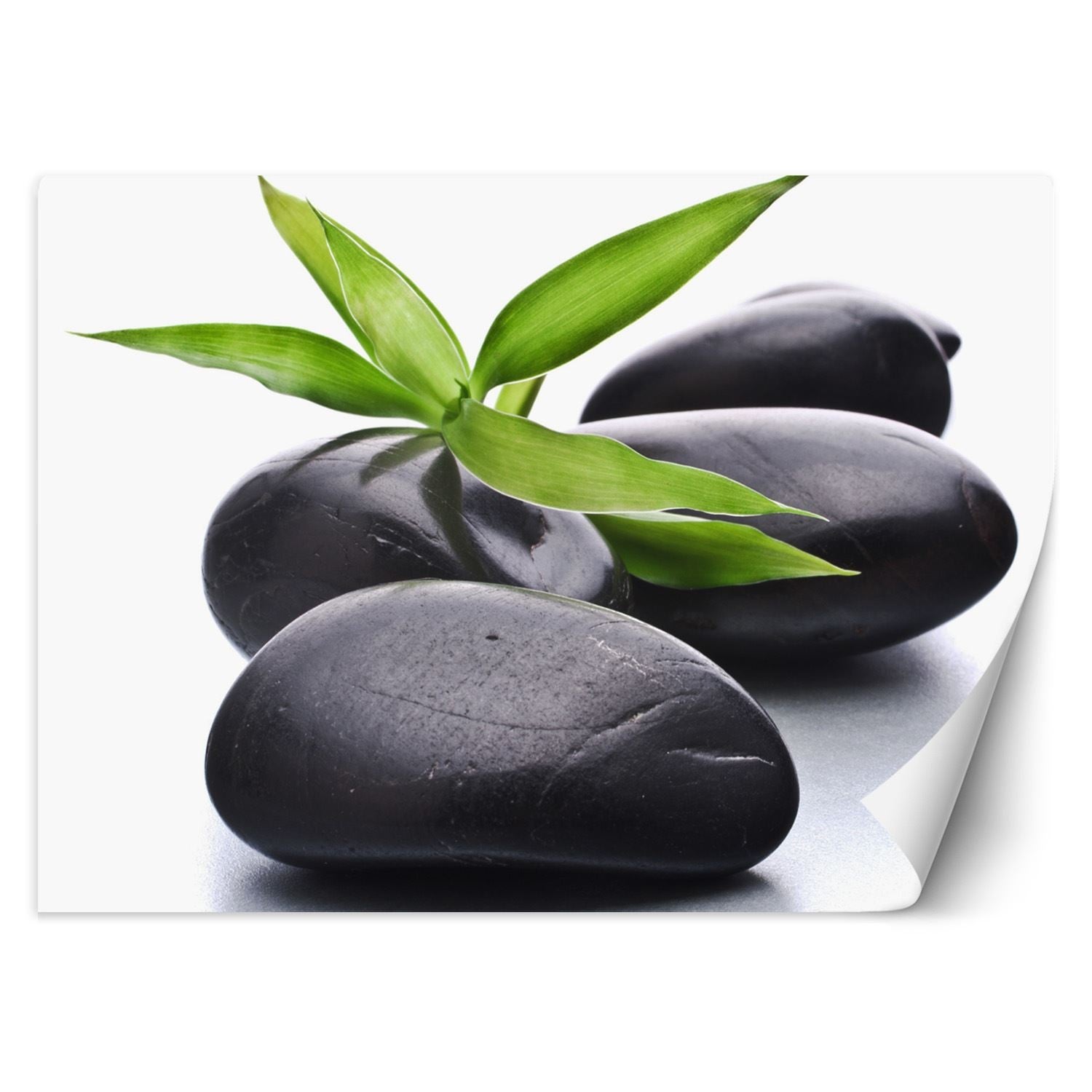 Fototapeta, Kamienie zen liść 150x105