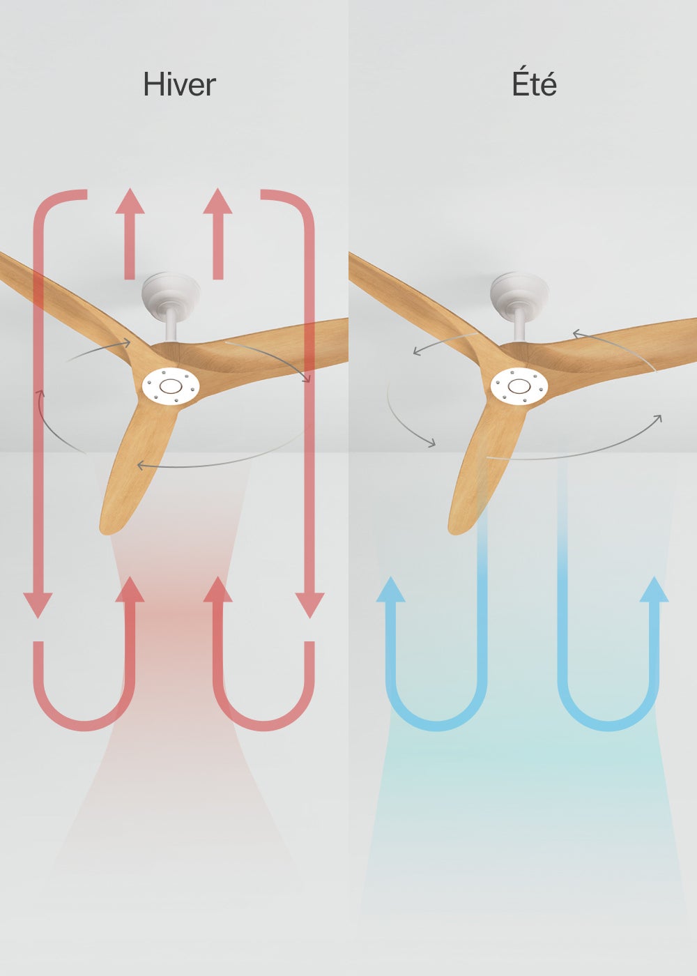 CREATE - WIND CENTURY L - Ventilateur de plafond 40W silencieux Ø152 cm 100% bois sans eclaraige sans wifi - 3