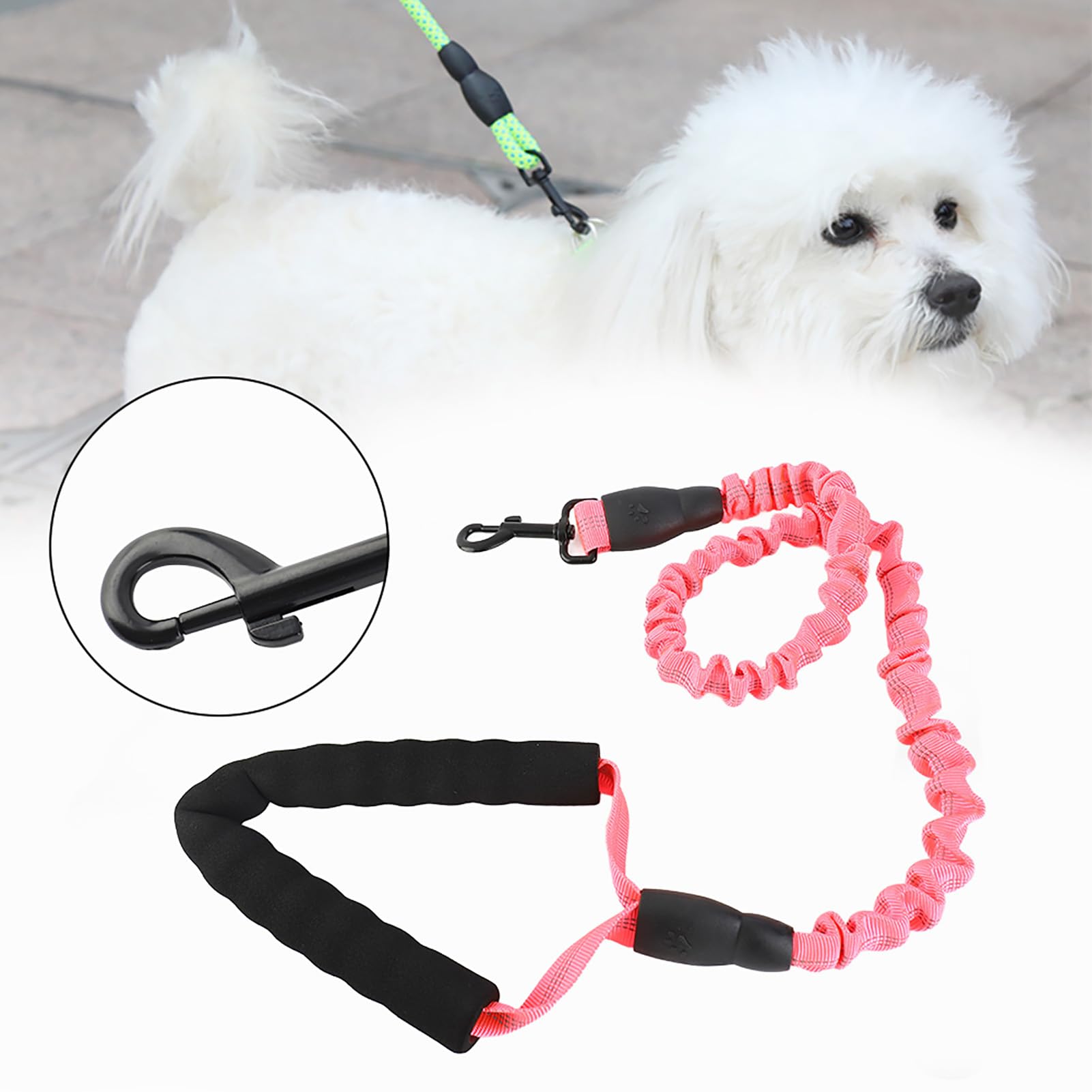 Con Cuerda Cuerda Adiestramiento Perros Ferplast Correa Perro