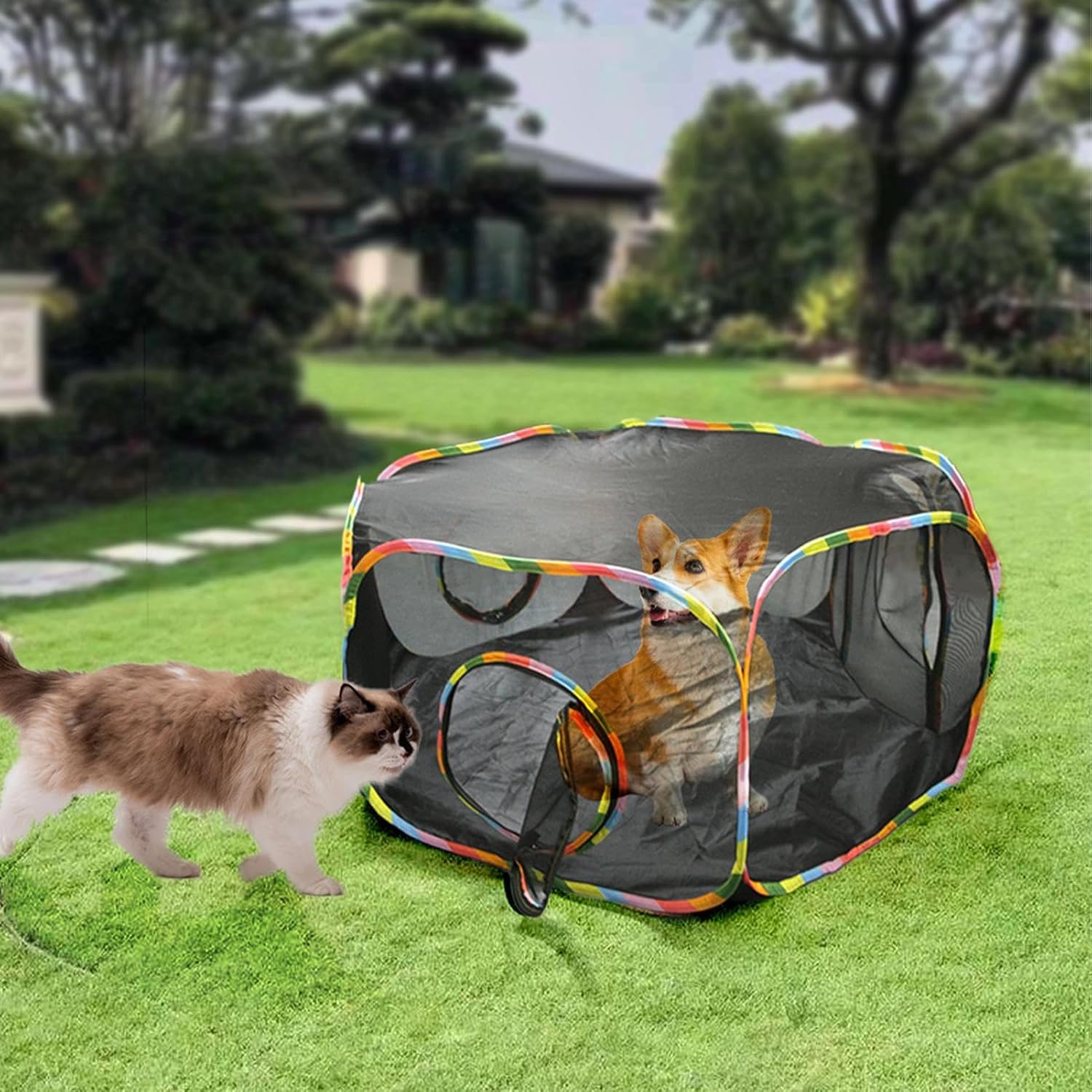 Enclos extérieur pour chat 32 x 34 cm, tente pour chat, enclos extérieur pour animaux, aire de jeux spacieuse pour animaux, pour que les chatons - 3