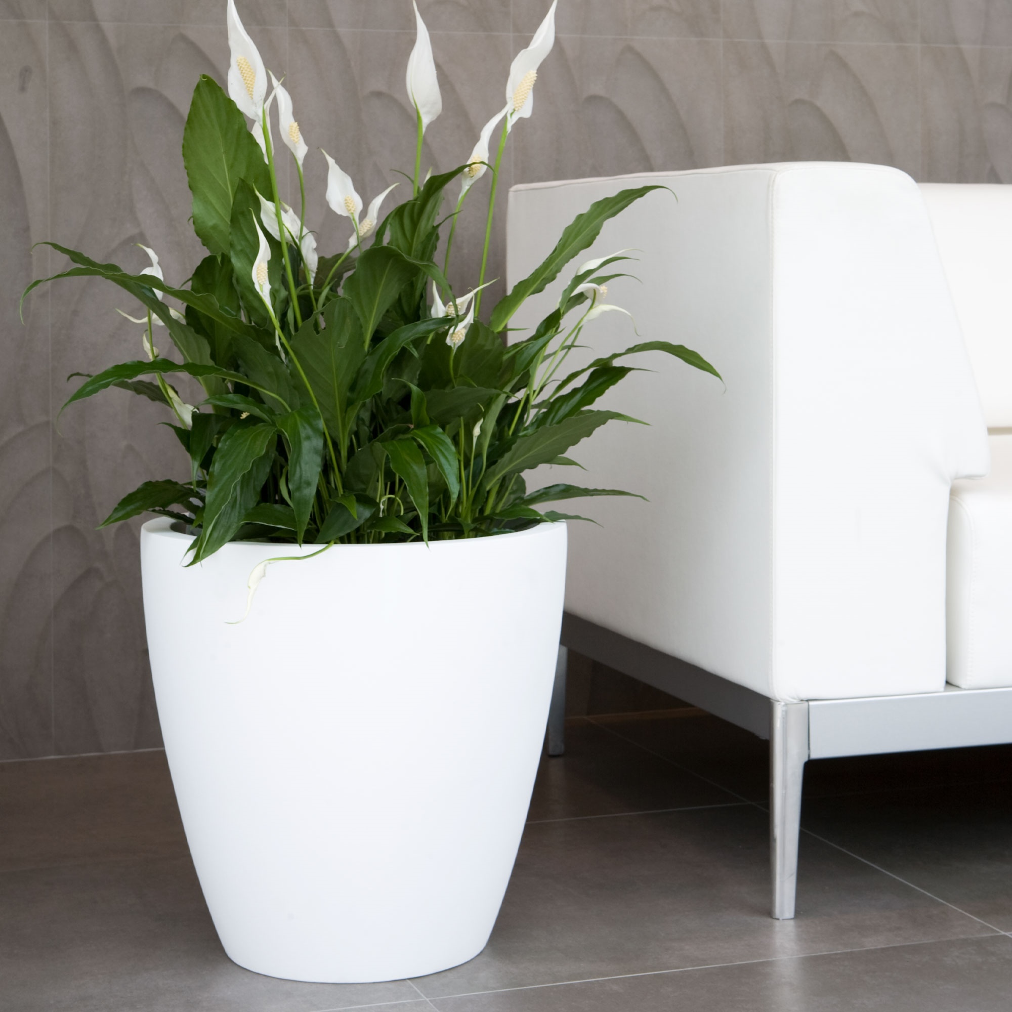 Pot de fleurs 60L Accord WellHome Ø50cm Impruneta - 4