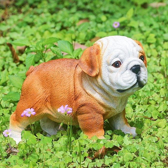 Cane Del Carlino Nel Giardino Immagine Stock - Immagine di prato Cane Del Carlino Nel Giardino Immagine Stock - Immagine di prato