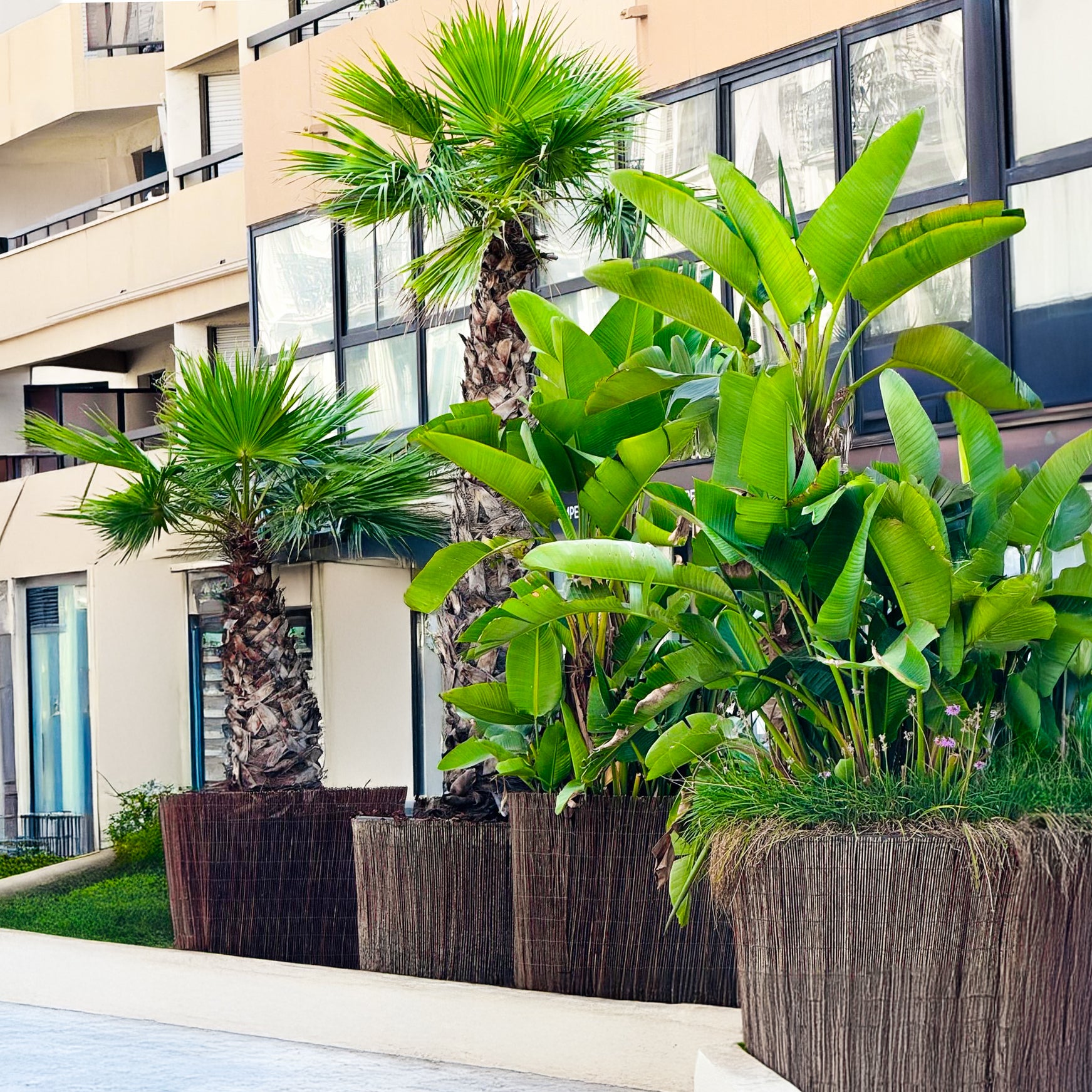 BOGATECO Clôture d'intimité en osier en bois 90 cm de haut et 300 cm de long | Parfait pour le jardin, le balcon et la terrasse | Fabriqué en Europe - 12