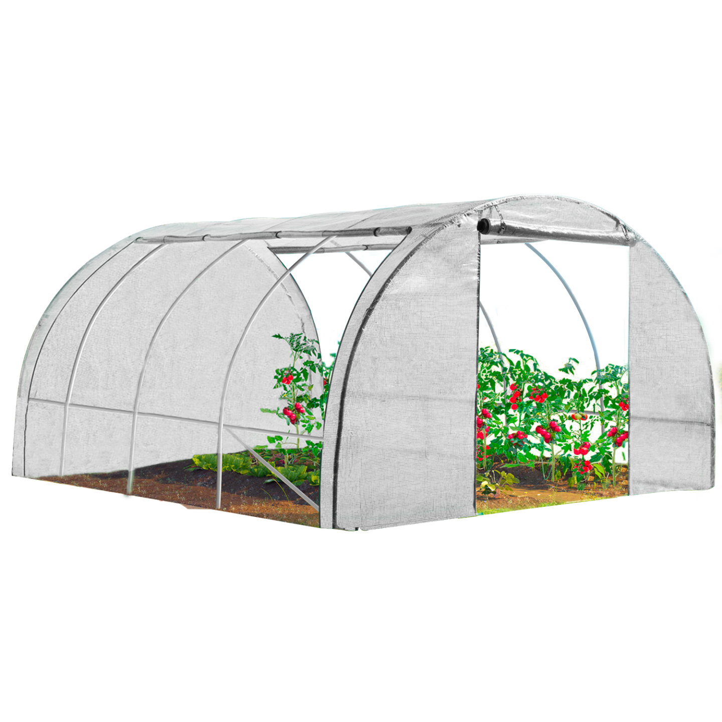 Serre tunnel de jardin 4 saisons 12M² blanche gamme maraîchère ZEBRA 4x3M - 2