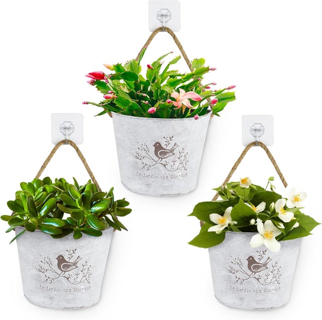 Support Fleurs Garde-corps Jardinière Balcon Bois Massif 60x28cm - Support Plantes Suspendu Intérieur/Extérieur Décoration Balcon