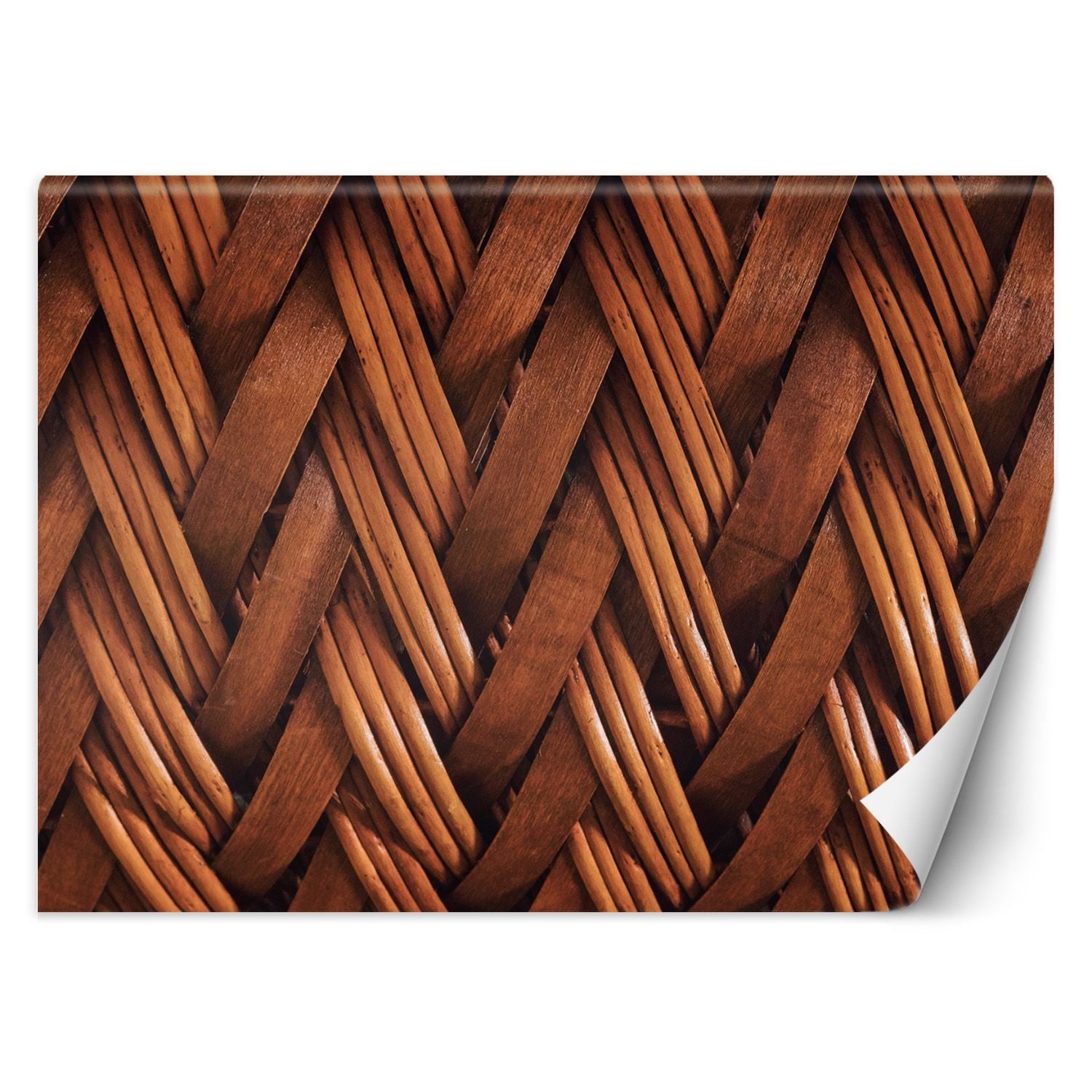 Fototapeta, Splot wikliny 3D 450x315