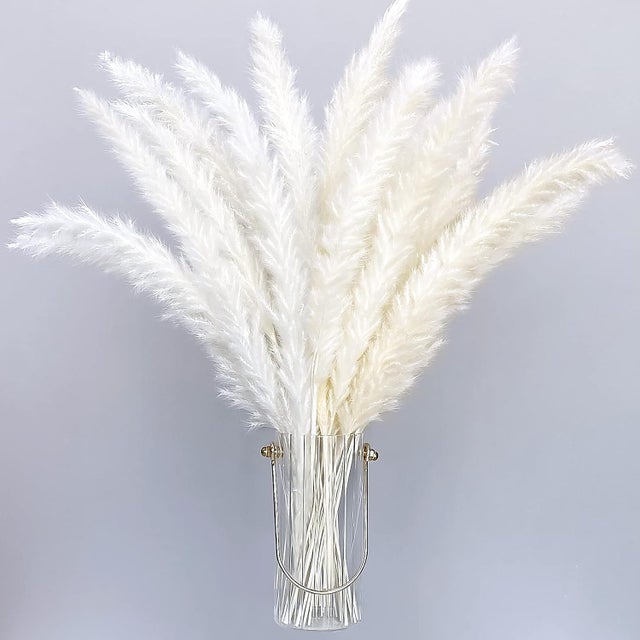 Bouquet herbe de la pampa au meilleur prix | Leroy Merlin