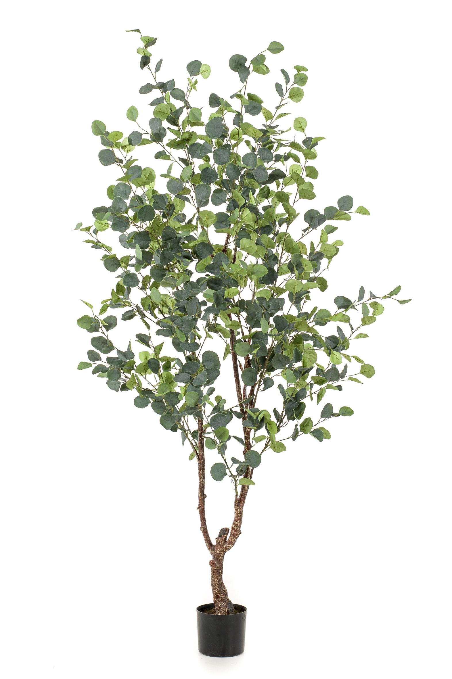 Eucalyptus artificiel 180 cm – Blauwe Gomboom élégant pour salon et bureau - 3