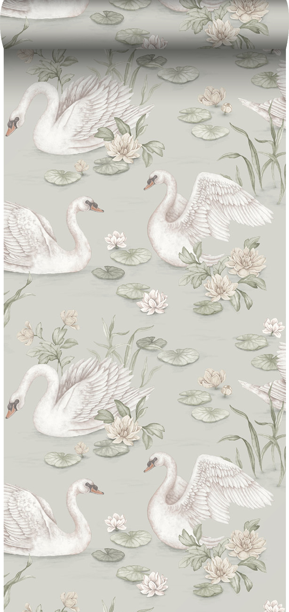 Papel pintado cisnes verde - 53 cm x 10.05 m - borastapeter