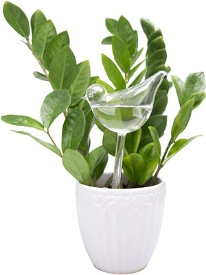 Lot De Globes D'arrosage En Forme De Cœur Pour Plantes - En PVC Transparent - Arrosage Automatique Pour Intérieur Et Extérieur