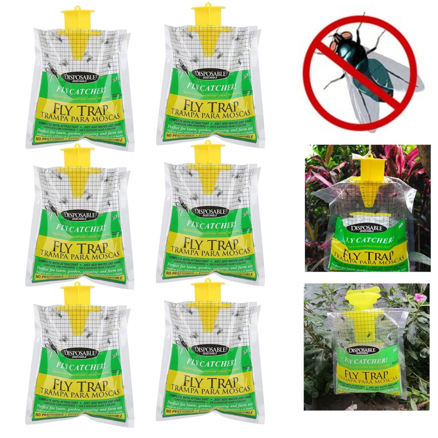 Une douzaine de mouches à truite les plus efficaces + boîte à mouches