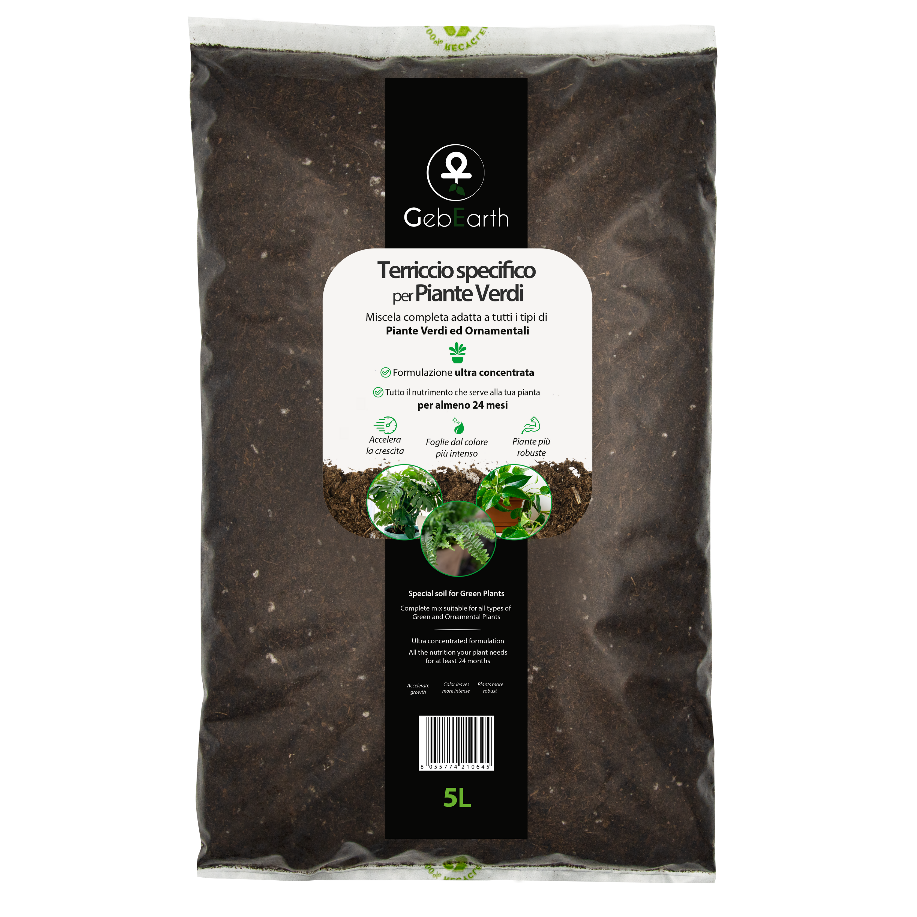 Terriccio per Piante Verdi | Nutrimento Prolungato e Crescita Sana | Ideale per  Monstera, Photos, Dracaena e tutti le piante verdi5L- GebEarth | Leroy  Merlin
