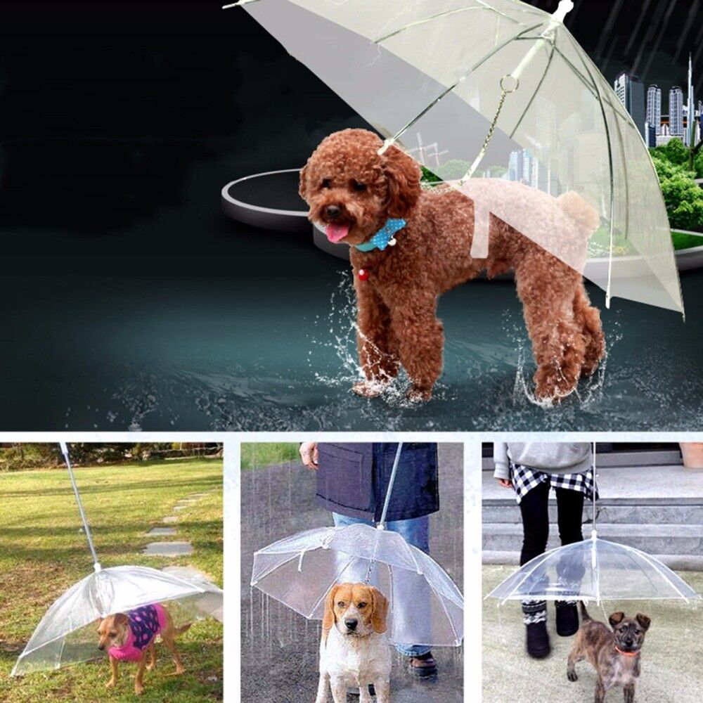 Parapluie Cloche Transparent Fulton Motif Chiens, Couleur Verte - Neuf Avec étiquettes