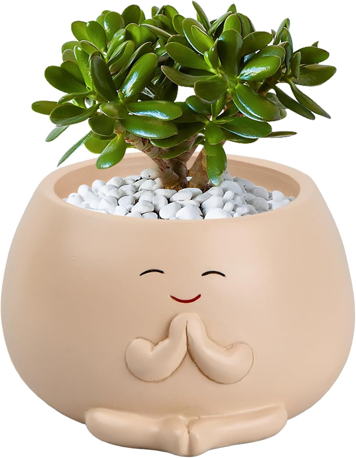 Doniczka ogrodowa, doniczka na sukulenta z uśmiechniętą buźką, przenośna doniczka na sukulenta z uśmiechniętą buźką, doniczka z żywicy