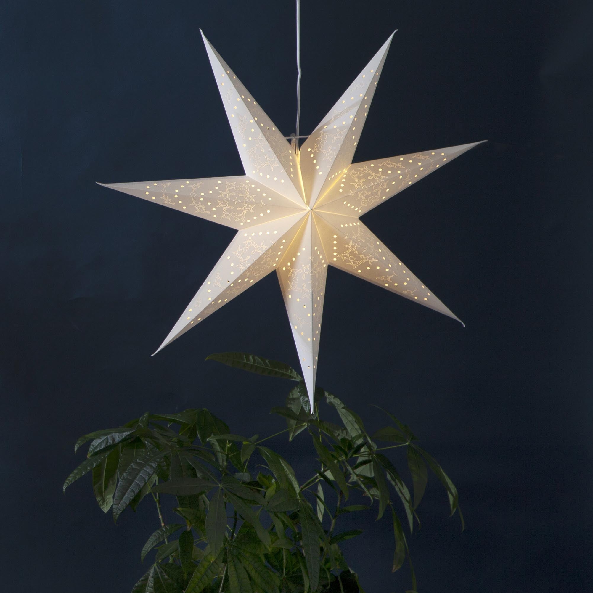 GURU SHOP Kaspar, stella di Natale 3D, stella pieghevole con 18 punte, cavo da 7 m e lampadina a LED, trasformatore rosso, plastica, stella di Natale