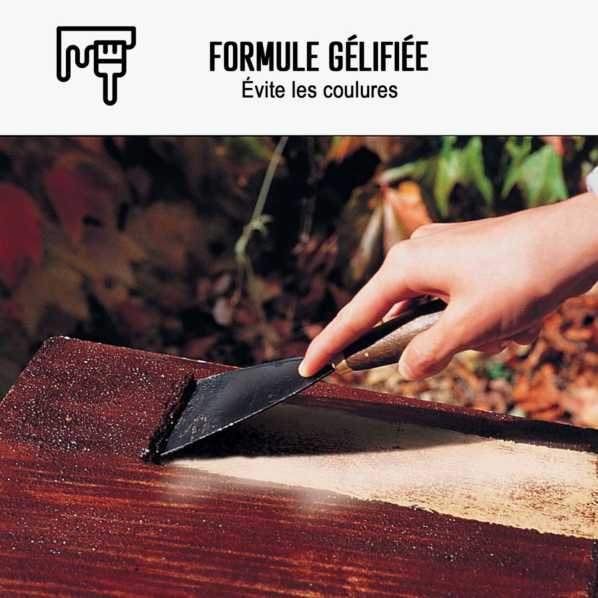 Décapant pour Bois - Produit décapant peinture, vernis - ARCADECAP BOIS - 1 L - ARCANE INDUSTRIES - 8