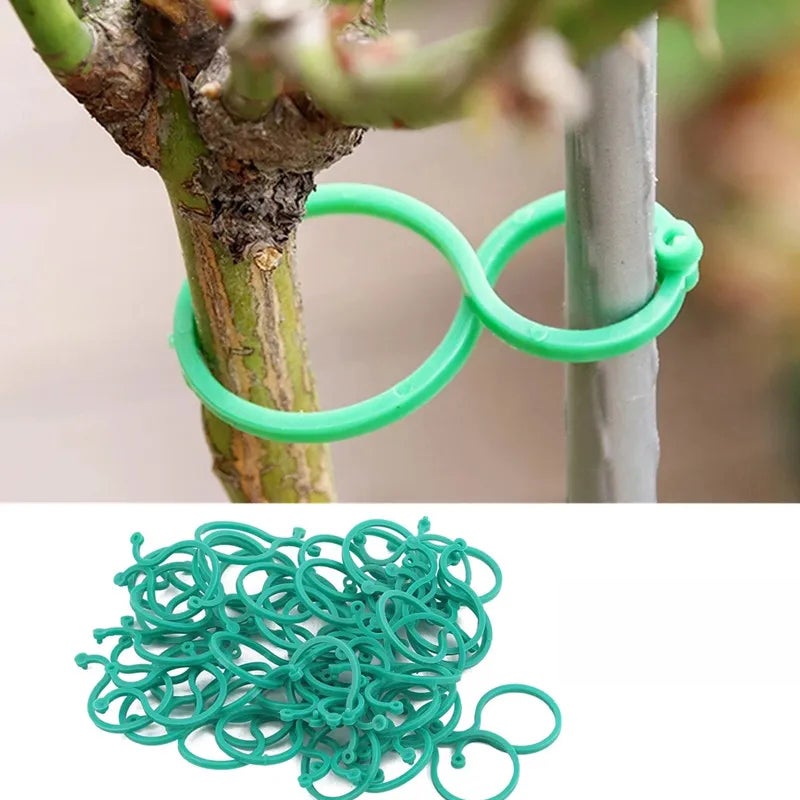 Sztuk plastikowych opasek do winorośli ogrodowych Klipsy wiązania roślin zgrupowane klamry uchwyt pierścieniowy rośliny ogrodowe Narzędzie pomocnicze
