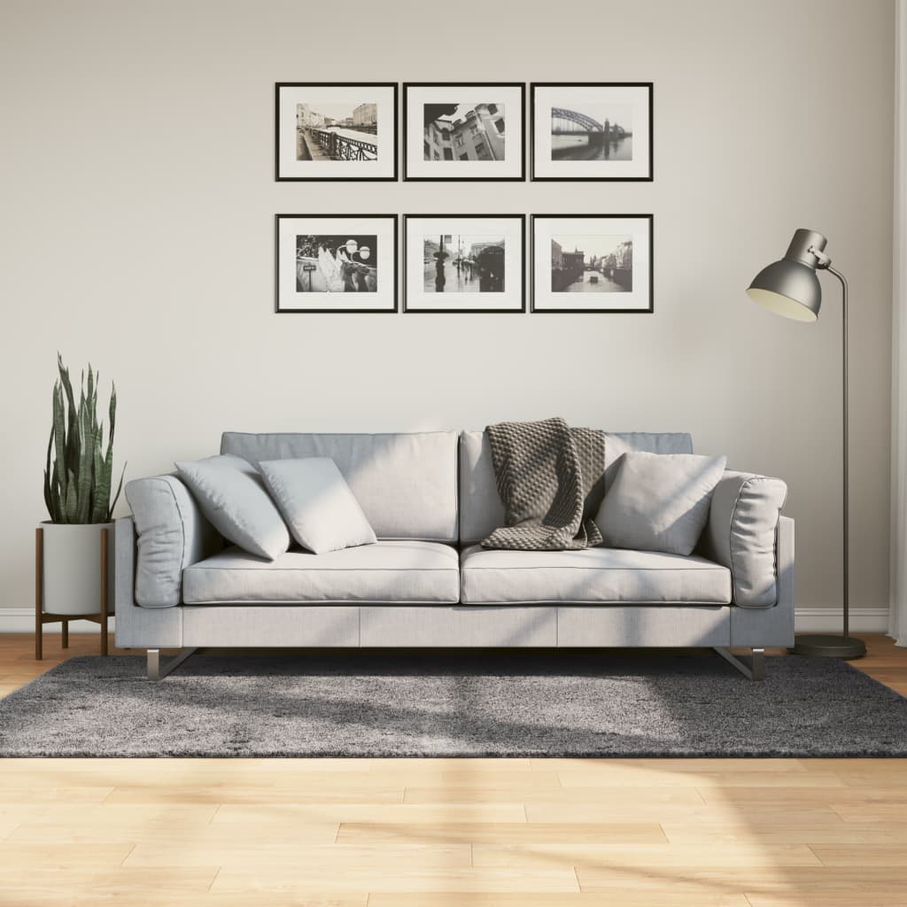Dywan HUARTE z krótkim włosiem, antracytowy, 100x200 cm vidaXL