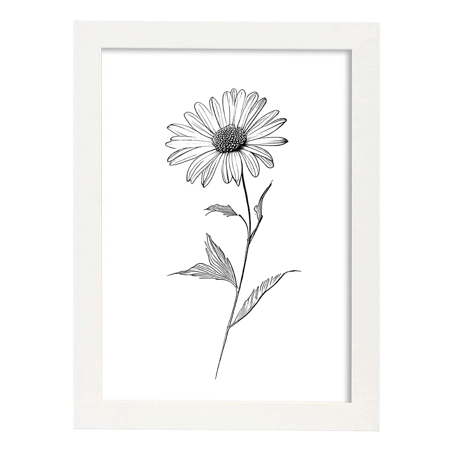 Nacnic poster de margarita estilo nórdico ilustraciones de botánica con flores y plantas en blanco y negro diseño y 2 a3 con marco blancos