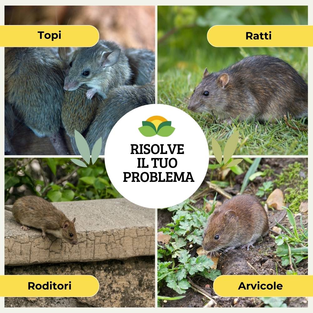 Disabituante Topi Ratti Spray Gas Albagarden - Repellente per Topi Effetto Immediato, Dissuasore per Ratti - per Interno ed Esterno - Spray x 600 ml - 4