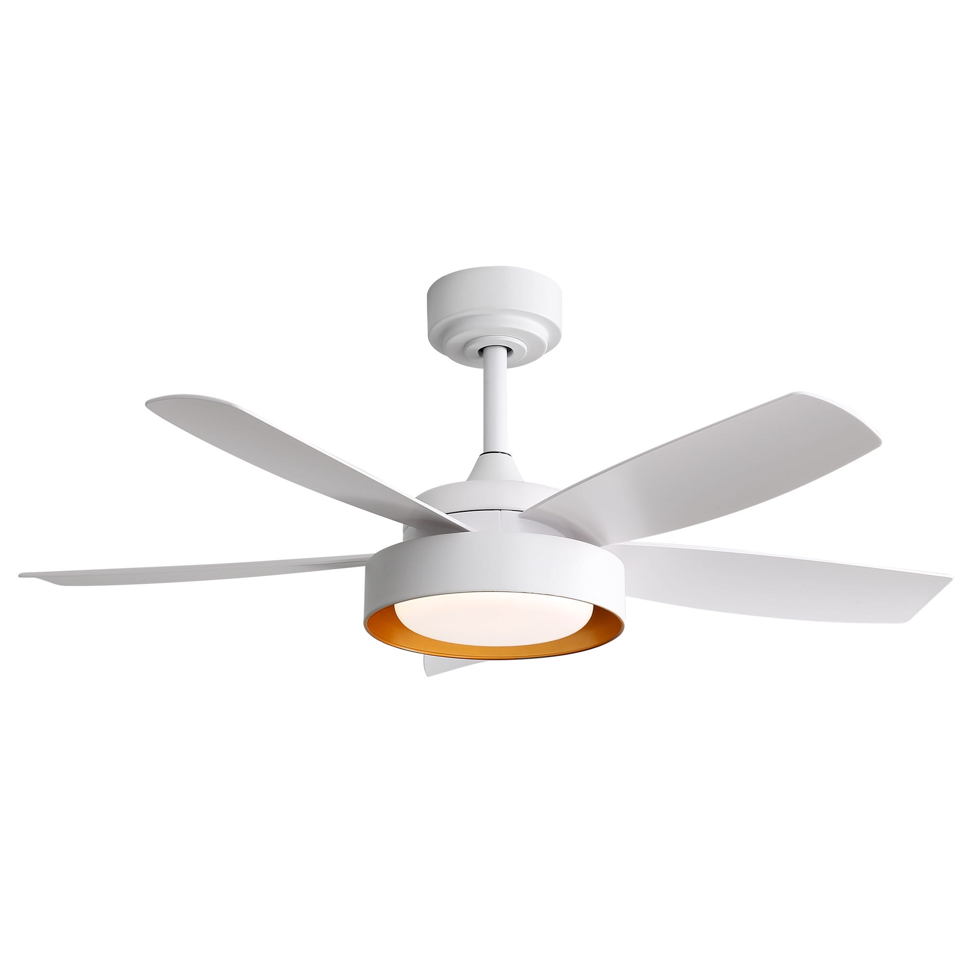 Surtime 122 cm Ventilatori a soffitto basso con luci e telecomando/APP Surtime 122 cm Ventilatori a soffitto basso con luci e telecomando/APP