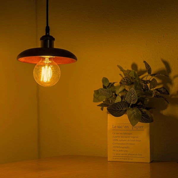 Lot de 4 ampoules Edison vintage - Ampoules à vis à intensité - Ampoules globe - Lumière chaude 40W G80 E27 220V (A) - 7