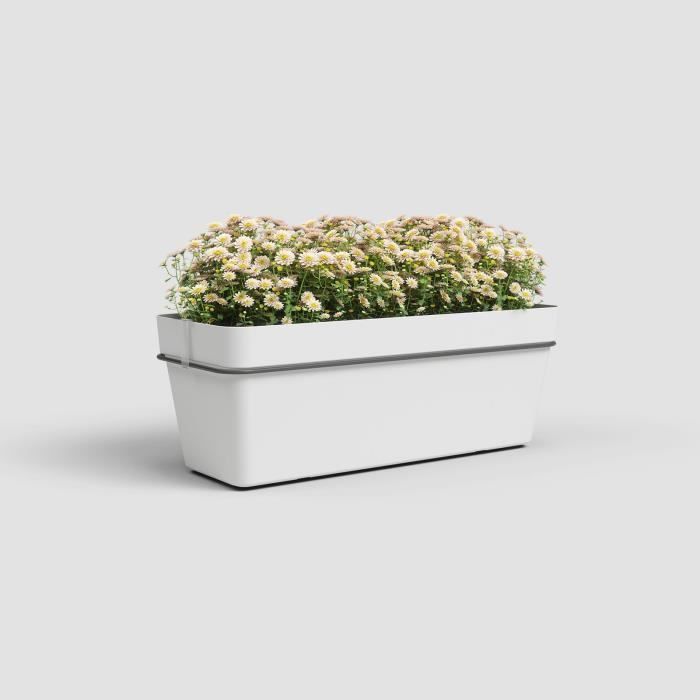 ARTEVASI - Kit balcon Jardiniere capri re 50cm v2 blanc 50,2 x 28,5 x h20 cm - 1,45l - 4