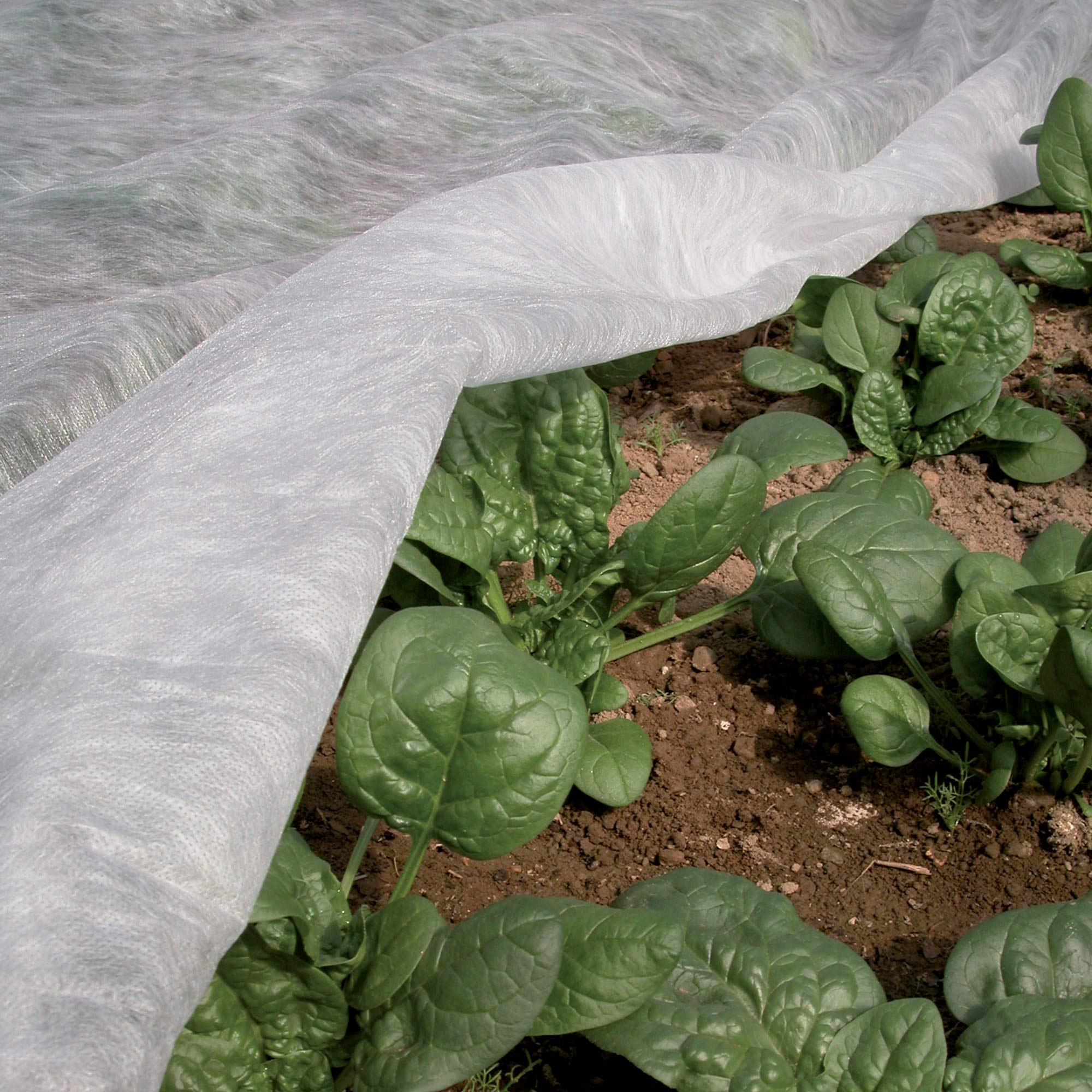 TENAX Ortoclima Plus 2,40x10 m Bianco, Velo Protettivo Antigelo Invernale per Piante, in TNT Tessuto non 30 g/m, Protegge Fiori e Ortaggi da Freddo, G - 2