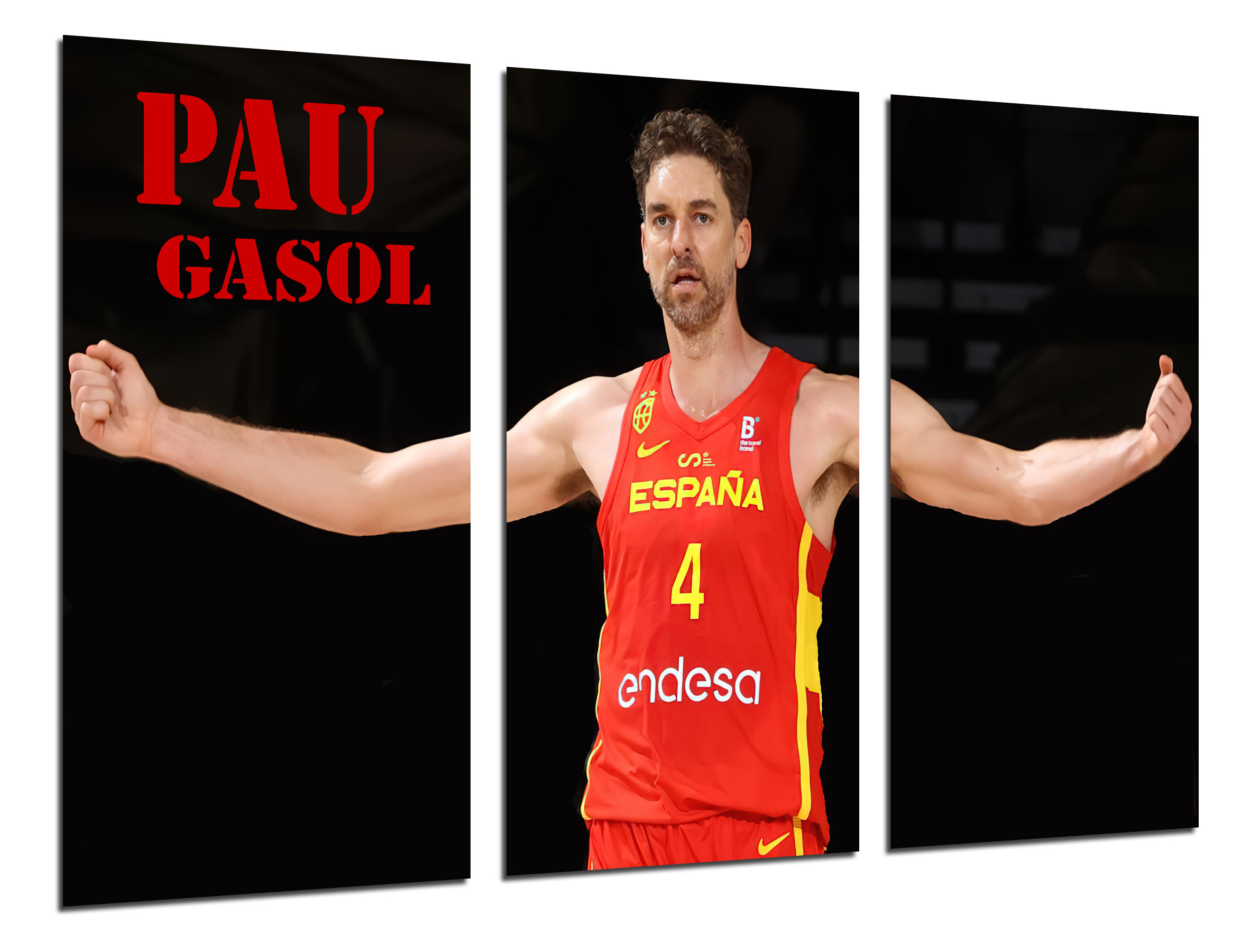 Set cuadros baloncesto, pau gasol, selección española, liga endesa, impresión digital sobre madera
