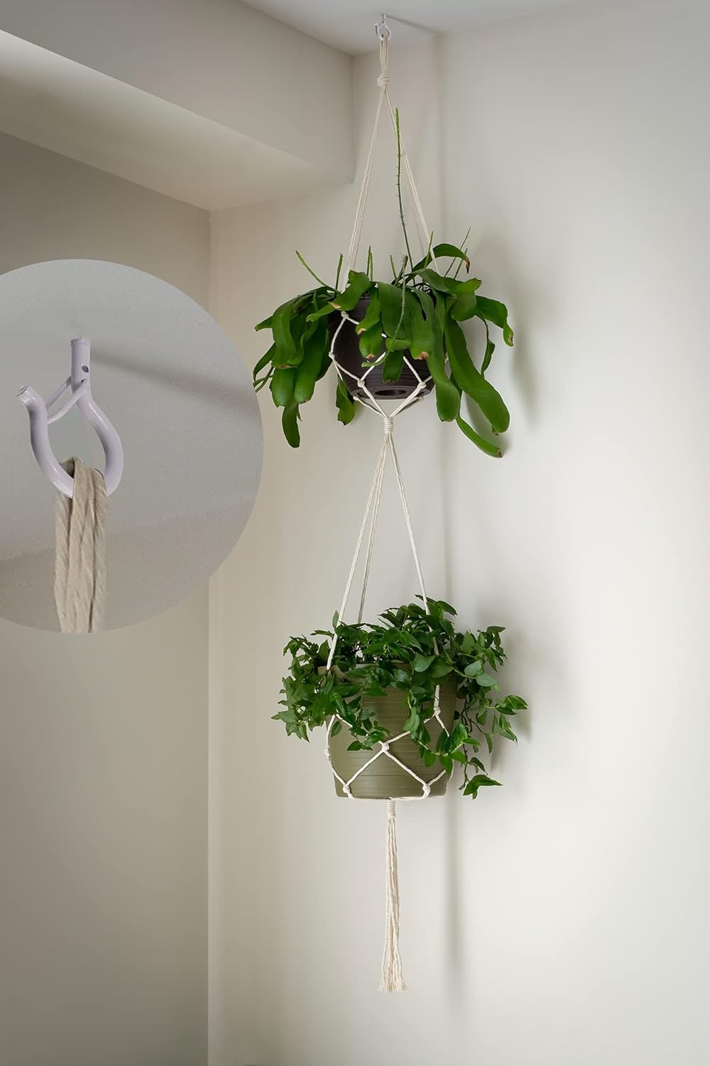Lot De 12 Crochets Q-Hanger En Acier Inoxydable - Pour Guirlandes Lumineuses, Plantes, Décorations Extérieures Et Noël
