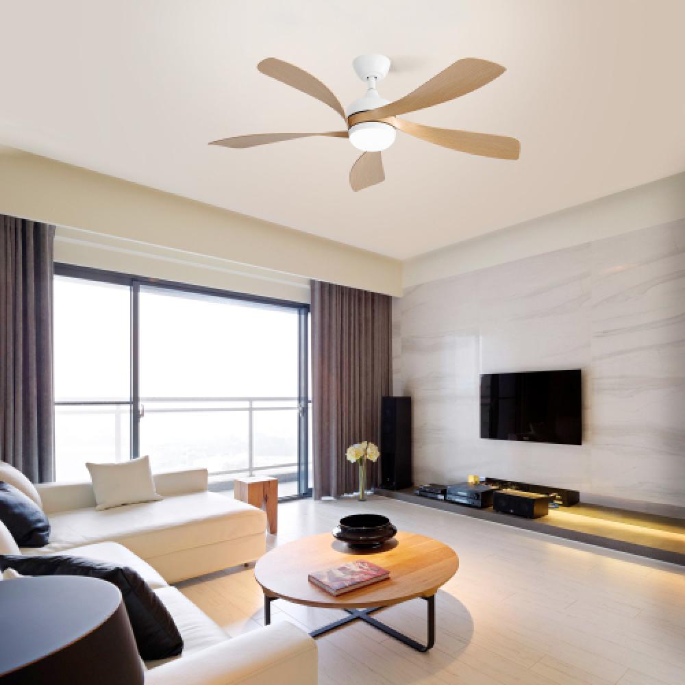 Ventilateur de plafond 52