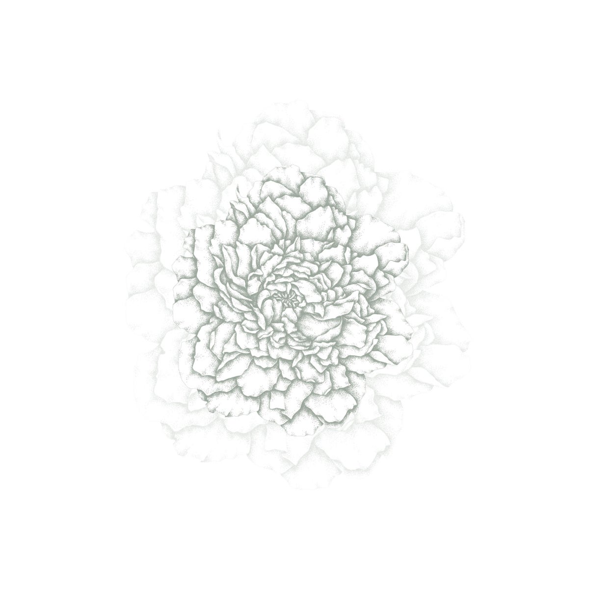 Cuore di peonie carta da parati panoramica Verde di grigio 225x250cm - 2