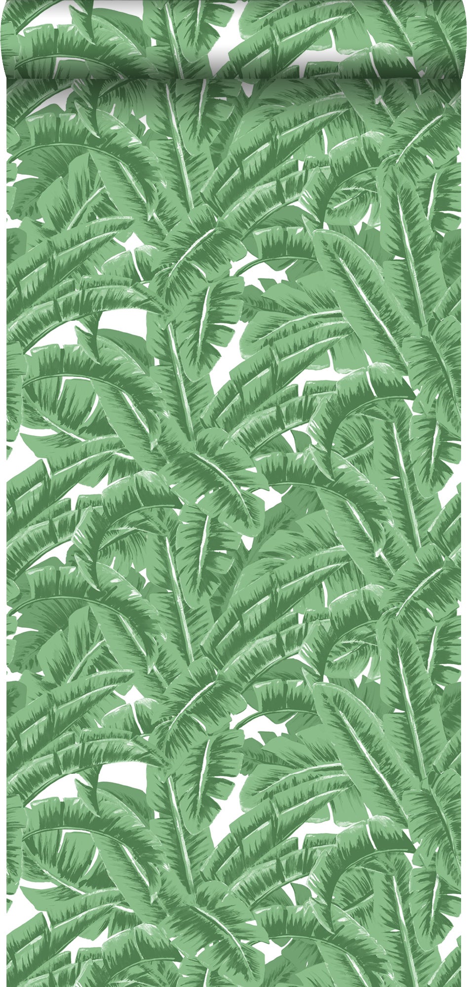 Papel pintado hojas de banano verde - 0,53 x 10,05 m - estahome