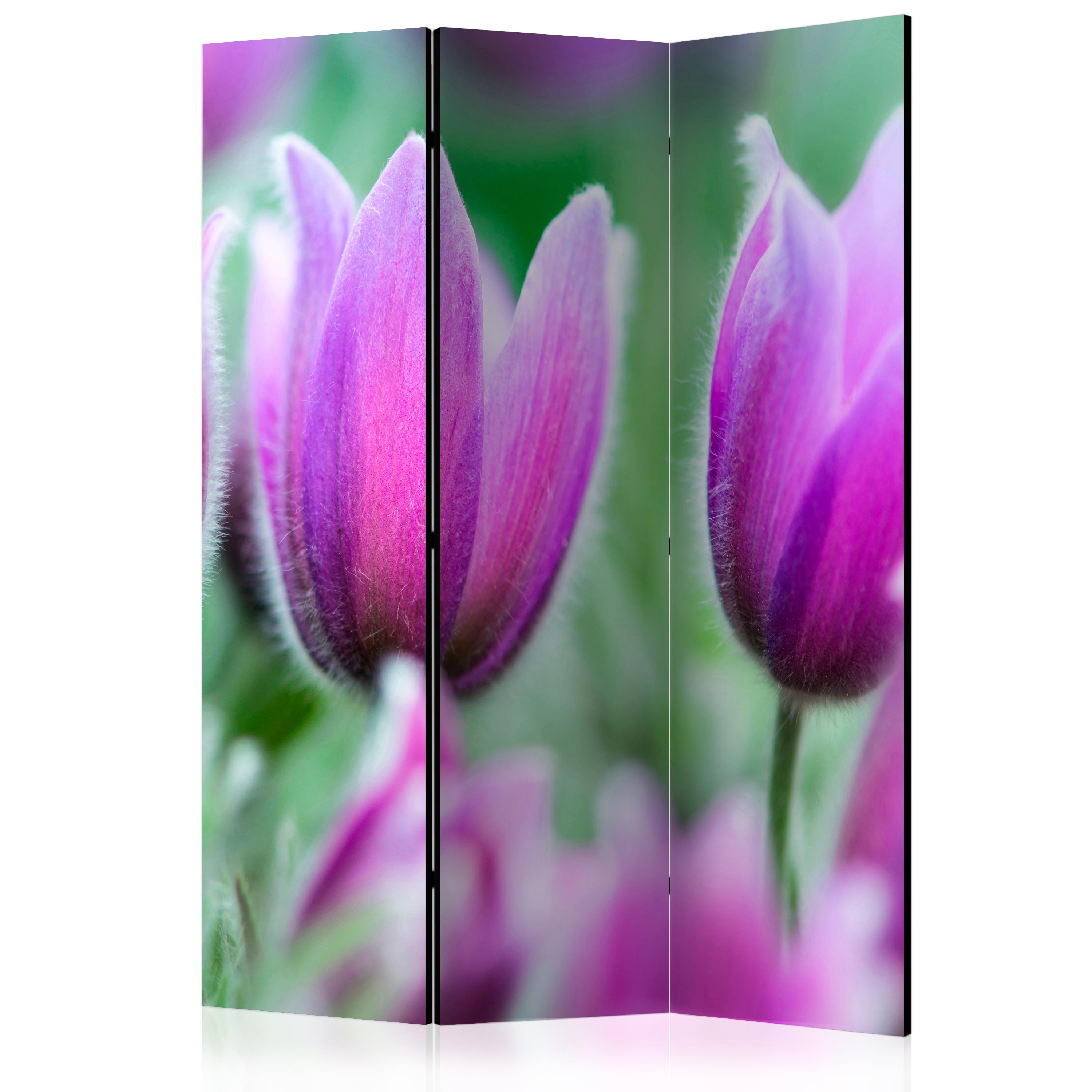 Paravent 5 Panneaux Double Face Fleurs - 225x172 Cm - Séparateur De Pièces Amovible Sans Perçage Pour Chambre, Salon, Studio